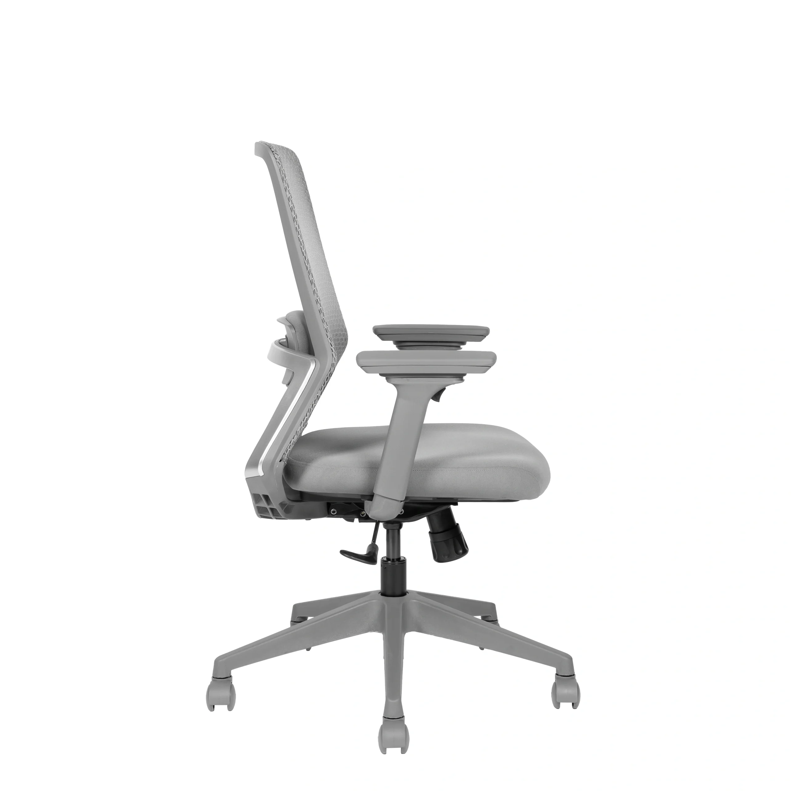Avis Grigio - View 3