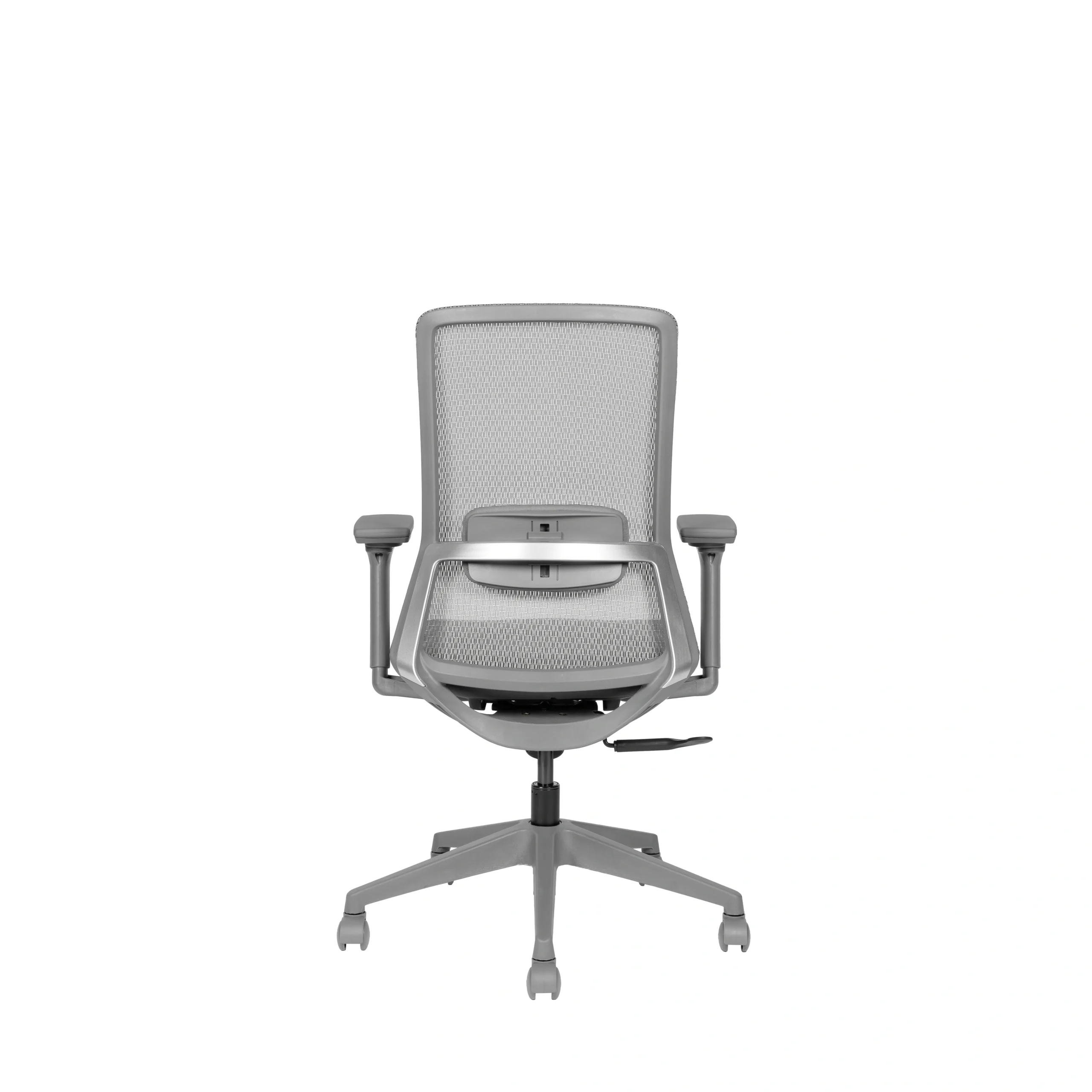 Avis Grigio - View 2