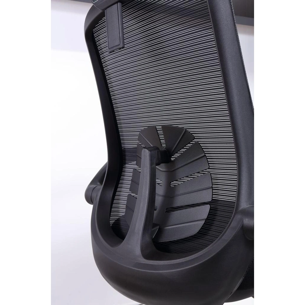 Petal Black Hb - View 11